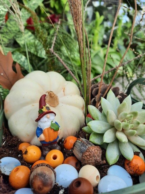 A whimsical garden scene featuring a gnome with a pumpkin, a white pumpkin, succulents, and colorful beads.