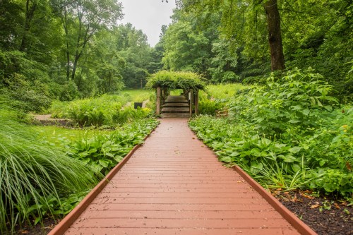 A wooden pathway leads through lush greenery to a small bridge in a serene garden setting.