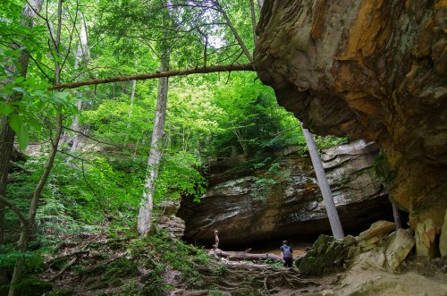 A lush green forest with a large rock formation and a fallen tree, two people exploring the natural landscape.