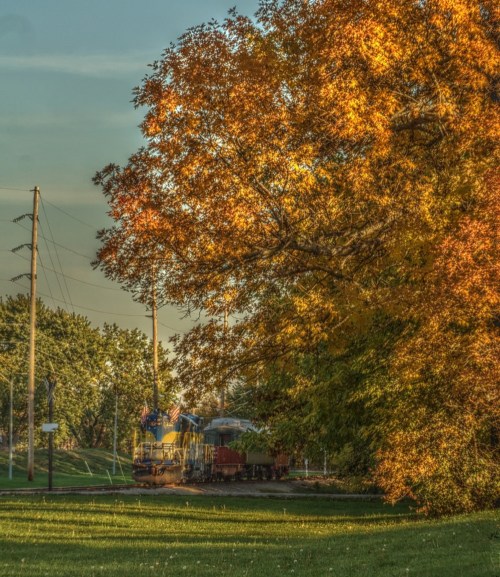 A train passes by vibrant autumn trees, with golden leaves illuminated by the warm evening light.