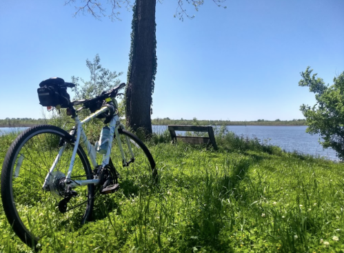 A bicycle rests on green grass near a calm lake under a clear blue sky, with trees in the background.