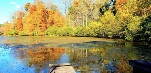 A serene lake surrounded by vibrant autumn foliage, reflecting colorful trees and a clear blue sky.
