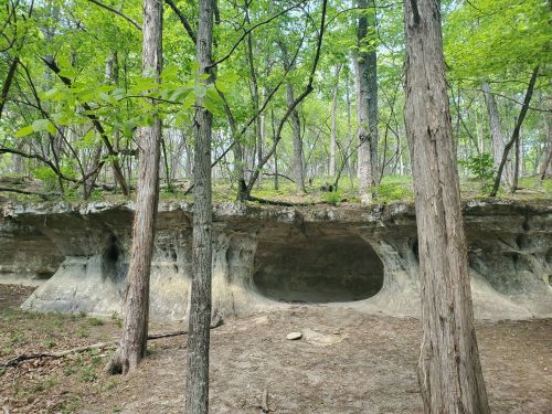 A rocky overhang in a forest, surrounded by trees and greenery, with a natural archway in the stone.