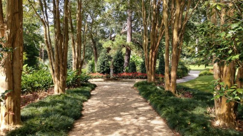 A serene garden path lined with trees, surrounded by lush greenery and colorful flowers.