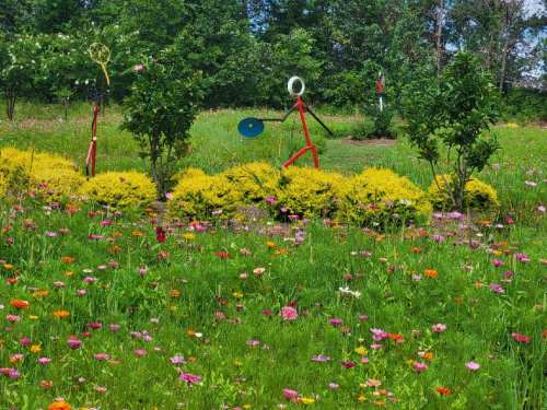 Colorful garden scene with flowers, shrubs, and whimsical stick figures among vibrant greenery.