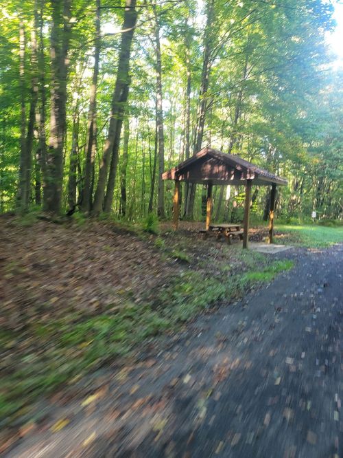 A wooden shelter beside a gravel path, surrounded by lush green trees in a forested area.