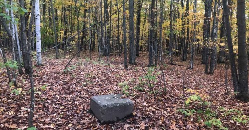 A rocky outcrop in a forest with autumn leaves and trees displaying vibrant fall colors.