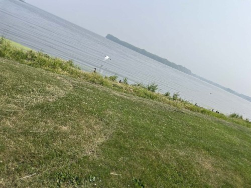 A serene view of a calm lake with grassy shoreline and distant land in the background under a hazy sky.