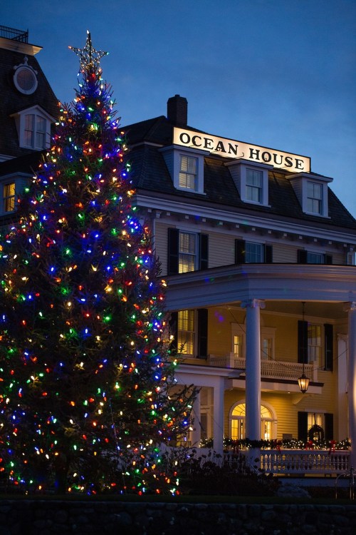 A brightly lit Christmas tree in front of the Ocean House hotel at dusk, with festive lights glowing.