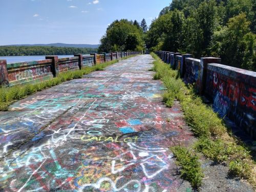 A colorful, graffiti-covered path leads through greenery beside a calm body of water under a clear blue sky.