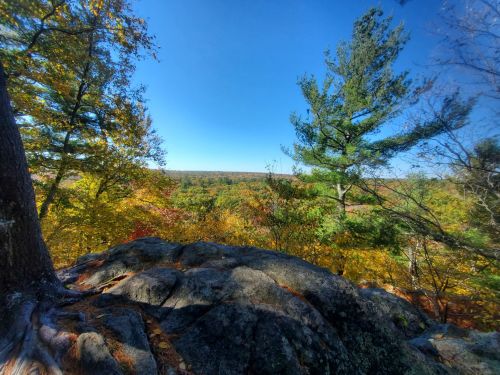 A rocky outcrop surrounded by vibrant autumn foliage under a clear blue sky.