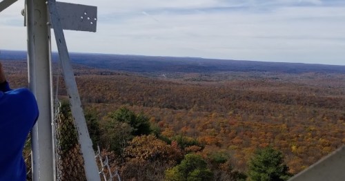 A panoramic view of a colorful autumn forest from a high vantage point, with rolling hills in the distance.