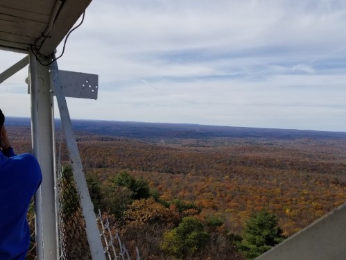 A scenic view from a lookout tower, showcasing a vast landscape of autumn-colored trees and rolling hills.