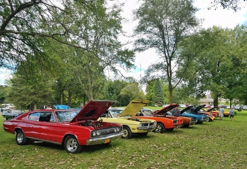 A row of classic cars with hoods open, parked on grass under trees, showcasing vibrant colors and vintage designs.