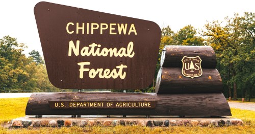 Sign for Chippewa National Forest, featuring wooden logs and the U.S. Department of Agriculture emblem.