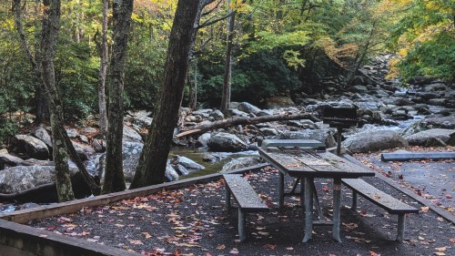 A picnic table by a stream, surrounded by trees with autumn leaves and rocky terrain.