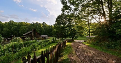 A serene rural scene with a dirt path, wooden fence, and a rustic cabin surrounded by lush green trees and sunlight.