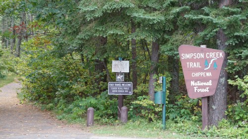 Sign for Simpson Creek Trail in Chippewa National Forest, surrounded by lush greenery and a dirt path.