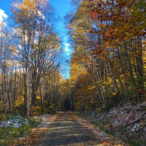 A serene forest path lined with trees displaying autumn colors, with a hint of snow on the ground.