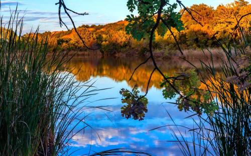 A serene lake surrounded by trees and grasses, reflecting colorful autumn foliage and a blue sky.