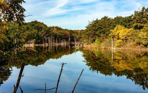 A serene lake reflecting trees and a blue sky, surrounded by lush greenery and autumn colors.