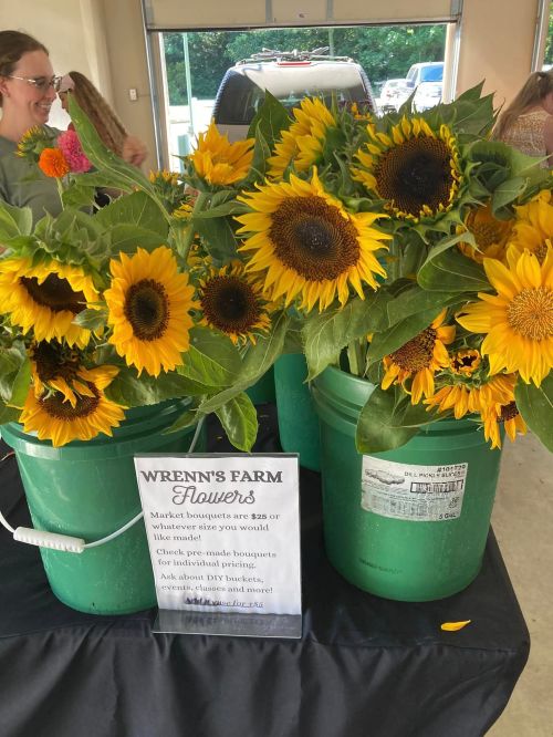 Bright sunflowers in green buckets at Wrenn's Farm, with a sign detailing bouquet prices and options.