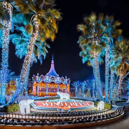 Colorful Winterfest sign surrounded by palm trees and festive lights at night, with a decorative gazebo in the background.