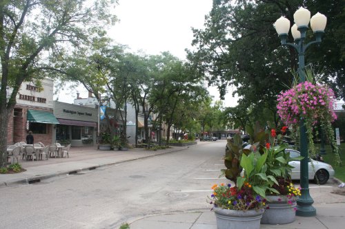 A quiet street lined with trees, shops, and colorful flower pots, creating a charming, inviting atmosphere.