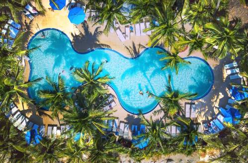 Aerial view of a tropical pool surrounded by palm trees and lounge chairs, with people swimming and relaxing.