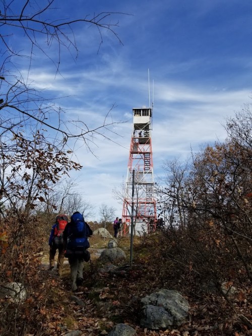 Hikers approach a tall fire tower surrounded by trees and rocky terrain under a blue sky with scattered clouds.