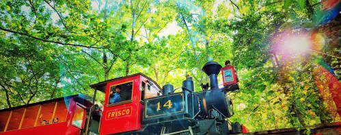 A vintage steam train, labeled "Frisco," travels through a lush green forest with sunlight filtering through the trees.