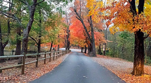 A scenic road lined with trees displaying vibrant autumn foliage in shades of orange, red, and yellow.