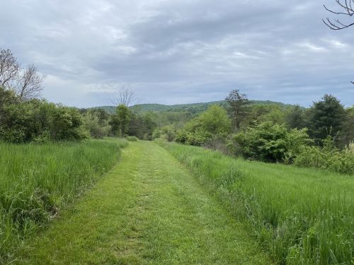 A grassy path leads through lush greenery, with rolling hills and a cloudy sky in the background.