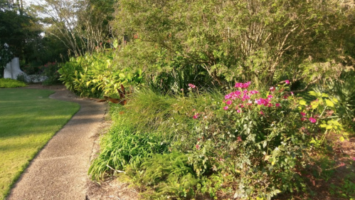 A lush garden path lined with vibrant flowers and greenery, surrounded by trees and plants in a serene setting.
