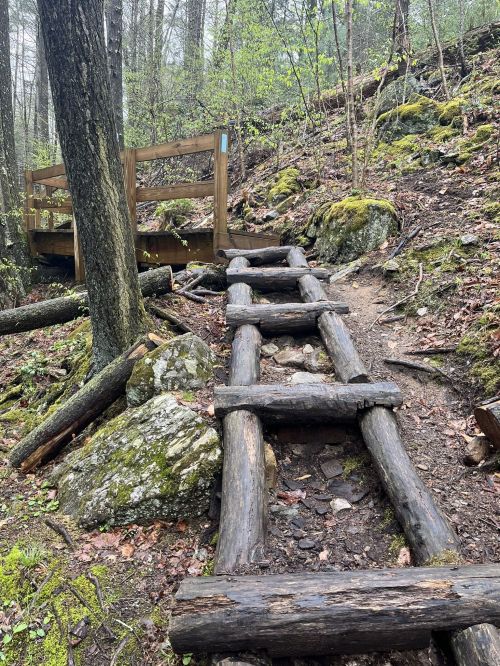 A wooden ladder leads up a rocky, forested trail with moss-covered stones and a wooden bridge in the background.