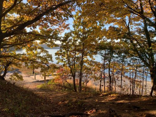 A serene view of a lake framed by colorful autumn trees, with a sandy shore visible in the background.