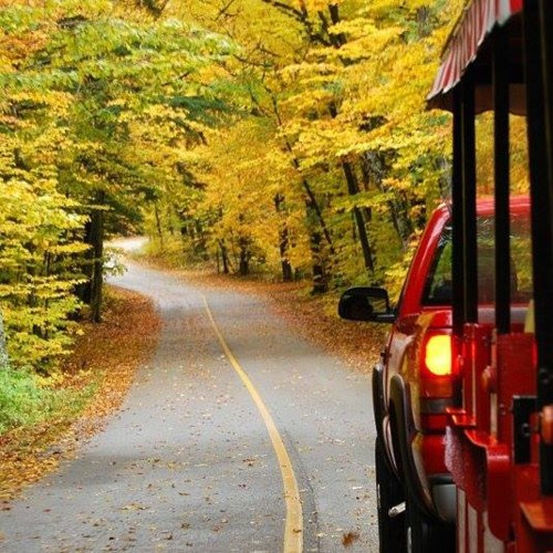 A winding road through a vibrant autumn forest, with colorful leaves lining the path. A red vehicle is visible on the side.