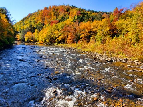 A serene river flows through a vibrant autumn landscape with colorful trees and a clear blue sky.