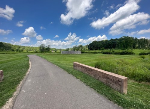 A paved path winds through a green field under a blue sky with fluffy clouds, bordered by trees in the distance.
