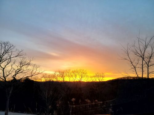 Sunset over a landscape with silhouetted trees and a colorful sky, casting warm hues across the horizon.