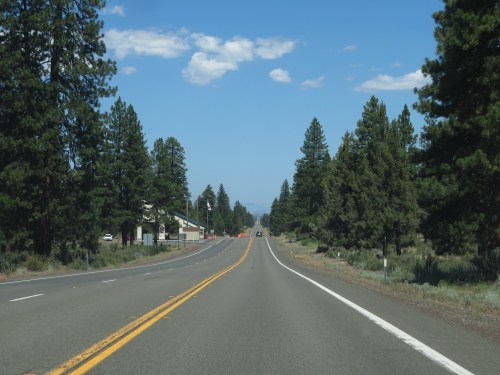 A straight road lined with tall pine trees under a clear blue sky, leading into the distance.