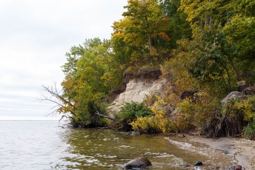 A serene lakeshore with a sandy beach, lush green trees, and a rocky shoreline under a cloudy sky.