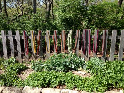 Colorful fabric strips hang on a wooden fence, surrounded by lush greenery and garden plants.