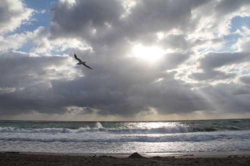 A serene beach scene with waves, clouds, and a bird flying against a backdrop of sunlight breaking through the clouds.