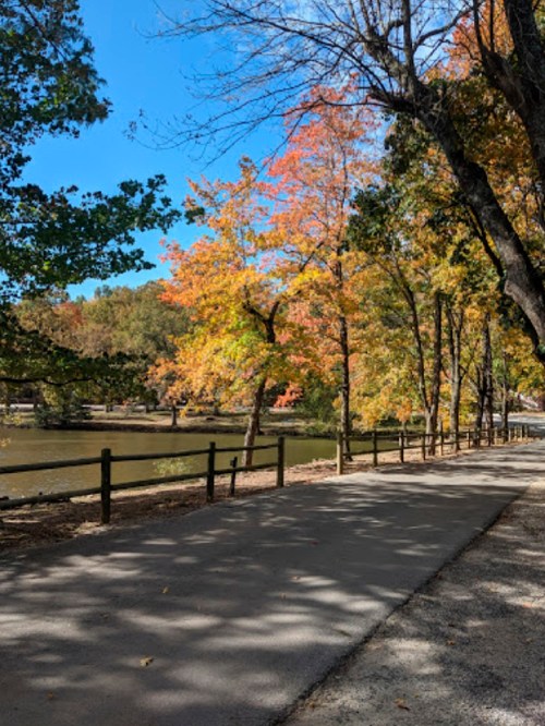 A serene path lined with colorful autumn trees beside a calm lake under a clear blue sky.