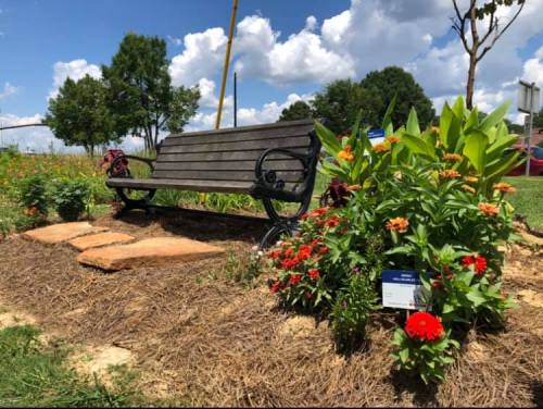 A wooden bench surrounded by colorful flowers and greenery under a blue sky with fluffy clouds.