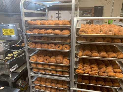 A kitchen with multiple racks filled with freshly made donuts, showcasing a variety of shapes and sizes.