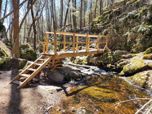 A wooden bridge with steps crosses a small stream in a forested area, surrounded by moss-covered rocks and trees.