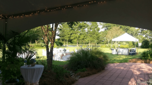 A view from under a tent showing a garden setup with tables, greenery, and a distant white tent.