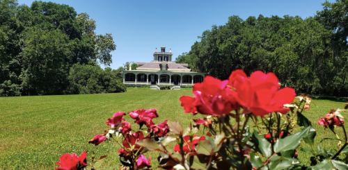 A historic mansion surrounded by lush greenery and vibrant pink roses in the foreground under a clear blue sky.